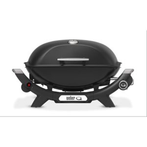 WEBER Q2100